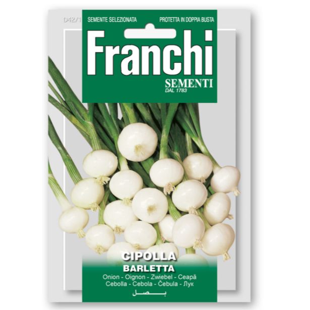 ČEBULNICA FRANCHI SEMENTI ČEBULA BARLETTA