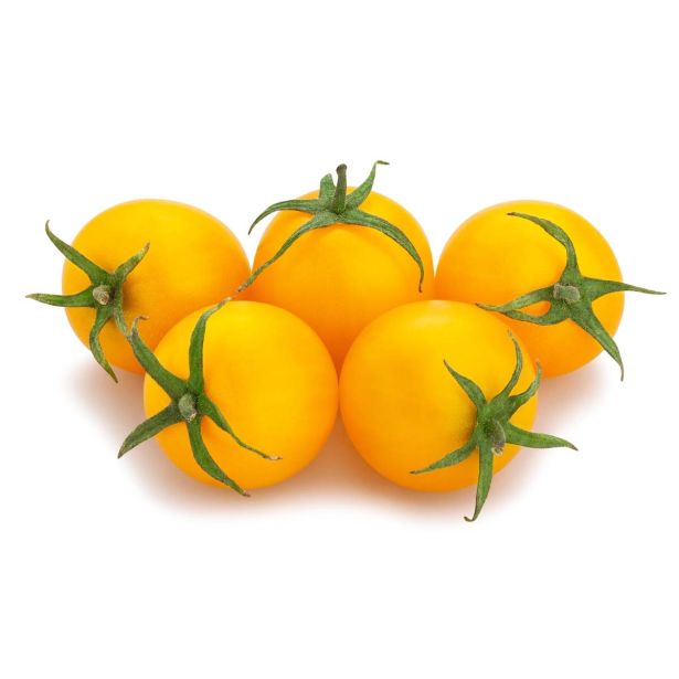 PLODOVKE L'ORTO FRUTTIFERO ČEŠNJEV PARADIŽNIK 1/1 RUMENSTAR GOLD L10