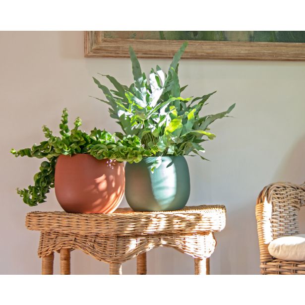 KERAMIČNI NOTRANJI LONEC CIBELE 20 TEMNO ZELEN