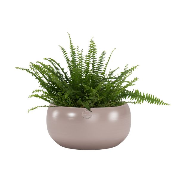 KERAMIČNI NOTRANJI LONEC CIBELE 29 SVETLO ROZA