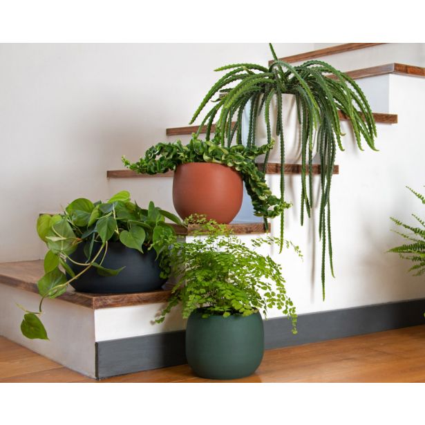 KERAMIČNI NOTRANJI LONEC CIBELE 29 TEMNO MODER