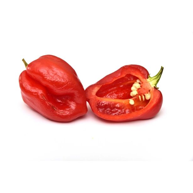 PLODOVKE L'ORTO FRUTTIFERO ČILI 1/1 HABANERO ROSSO L10