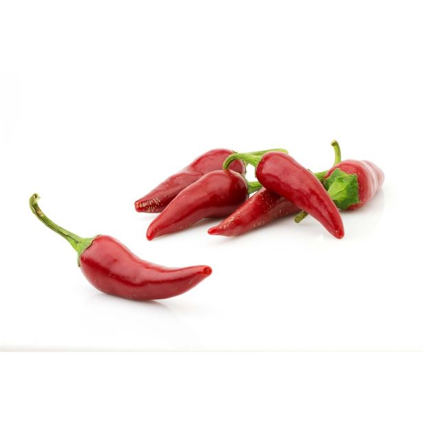 PLODOVKE L'ORTO FRUTTIFERO ČILI 1/1 PICCANTE CORNO COST L14