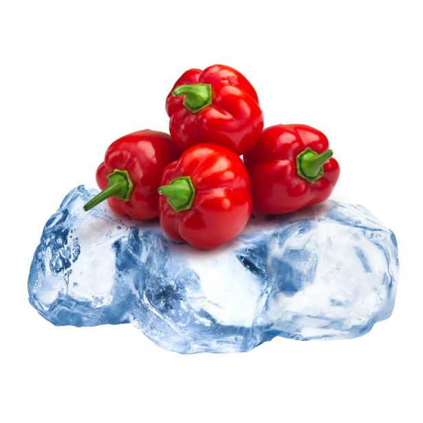 PLODOVKE L'ORTO FRUTTIFERO ČILI 1/1 PICCANTE COST RUGOSO L14