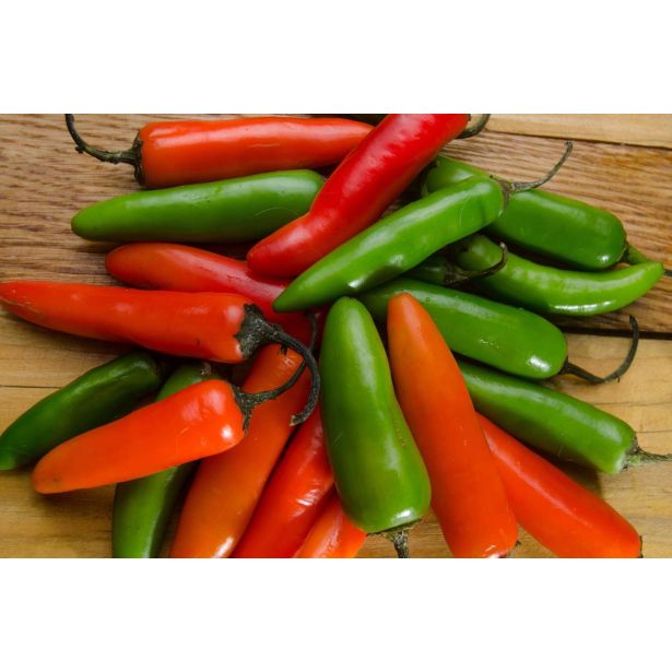 PLODOVKE L'ORTO FRUTTIFERO ČILI 1/1 SERRANO L14