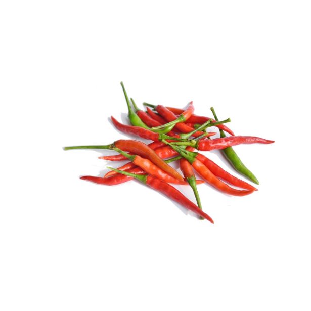 PLODOVKE L'ORTO FRUTTIFERO ČILI ČRNO RDEČ 1/1 ACRATA L14