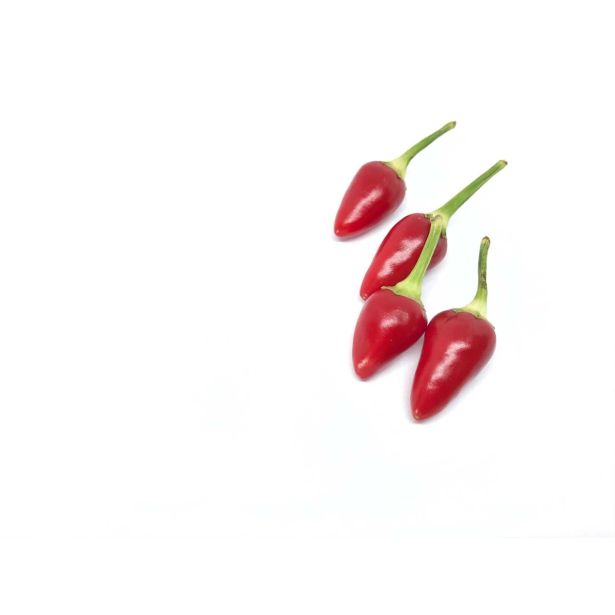 PLODOVKE L'ORTO FRUTTIFERO ČILI ORANŽEN 1/1 CAPEZZOLI SCIMMIA L14