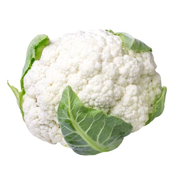 KAPUSNICE L'ORTO FRUTTIFERO CVETAČA 4/1 WHITE FLASH KULTIPAK