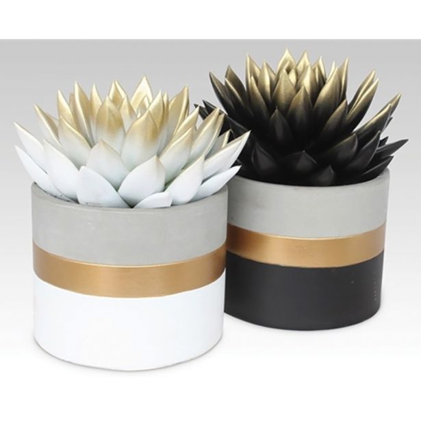 EŠEVERIJA ZLATA ELEGANT MIX L10.5 V LONČKU