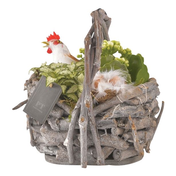 CVETOČA RASTLINA VELIKONOČNI ARANŽMA V PLETENI KOŠARI