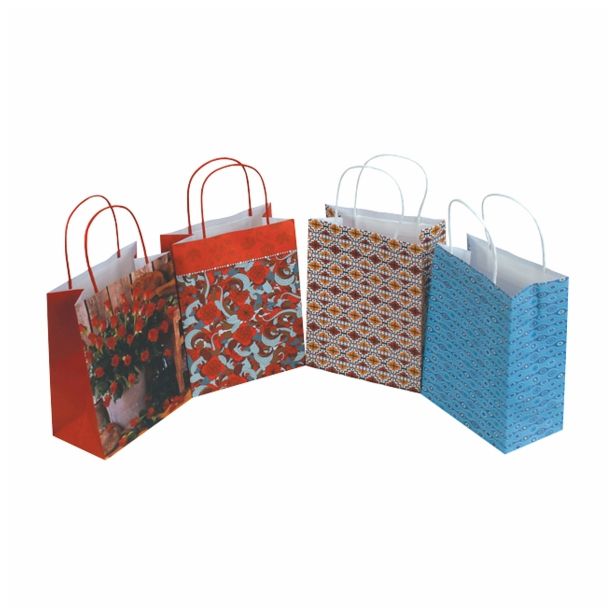 DARILNA VREČKA EKO LUX A 220X100X290, 180X100X227