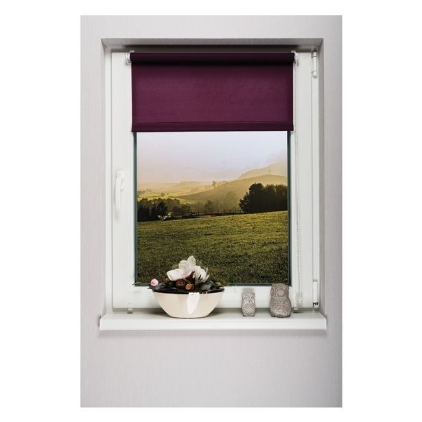 ROLO HUNGARIA KARNIS DAYLIGHT 90X150 EASYFIX SLIVA