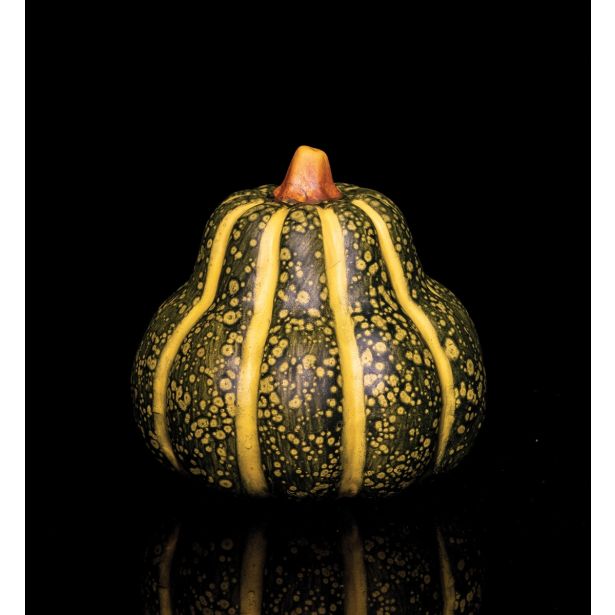 JESENSKA FIGURA GLOSSTYLE BUČA FI 12 CM ZELENA KERAMIČNA