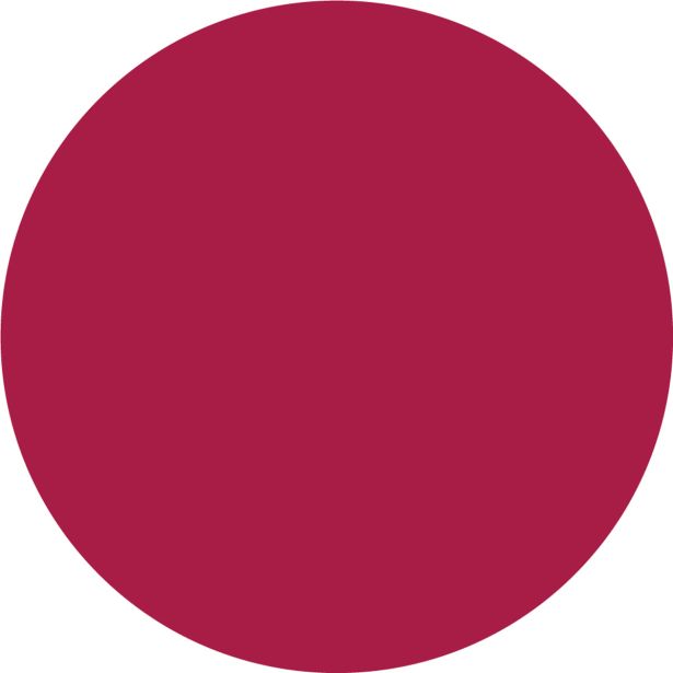 NIANSIRNO SREDSTVO JUB DIPI SUPER COLOR CIKLAMA 30 100 ML