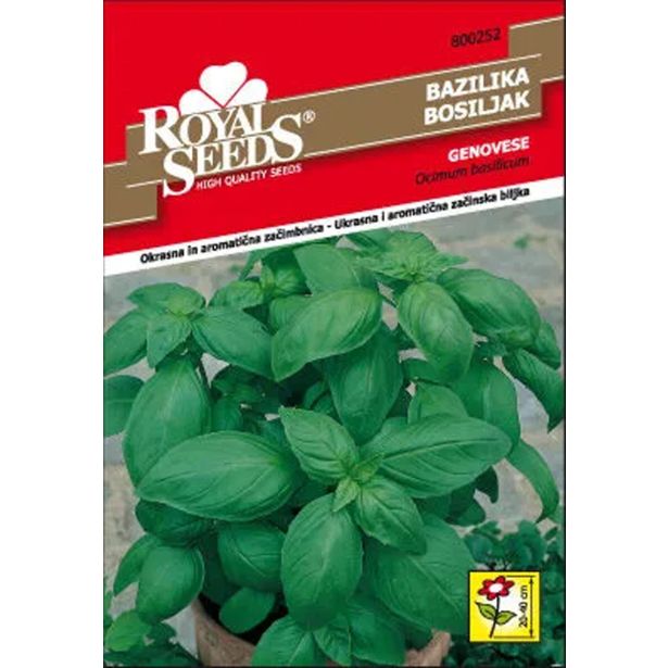 DIŠAVNICA ROYAL SEEDS SEME NA DISKU BAZILIKA