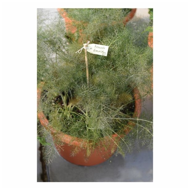 KOMARČEK VOLMARY L12