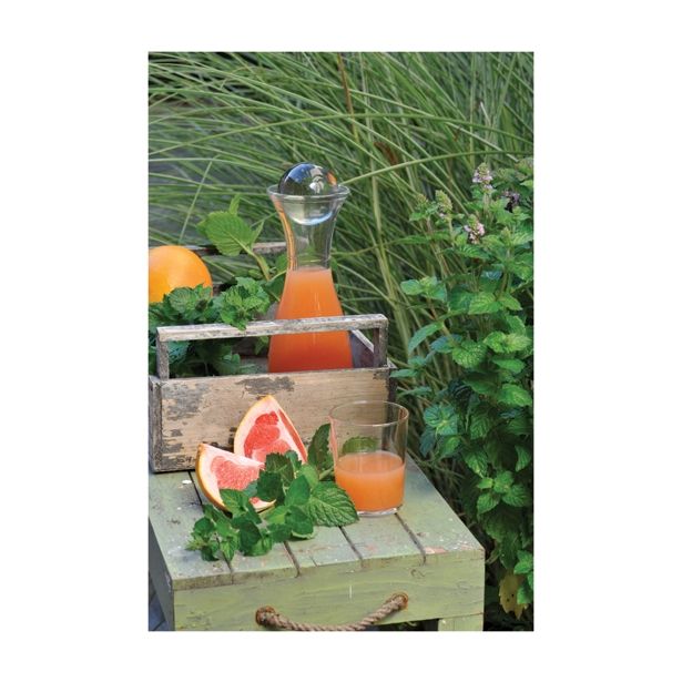 META VOLMARY PIPERITA AURA L12