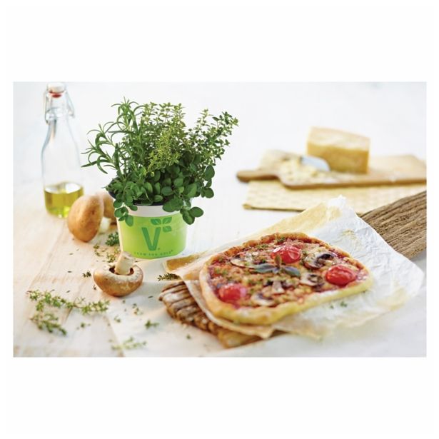 MIX DIŠAVNIC IN ZELIŠČ VOLMARY TRIO L13