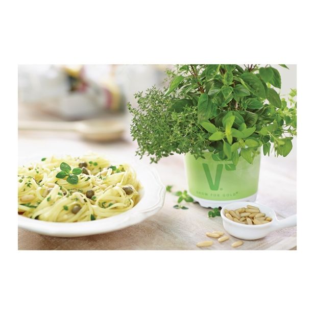 MIX DIŠAVNIC IN ZELIŠČ VOLMARY TRIO PASTA DELUXE L13