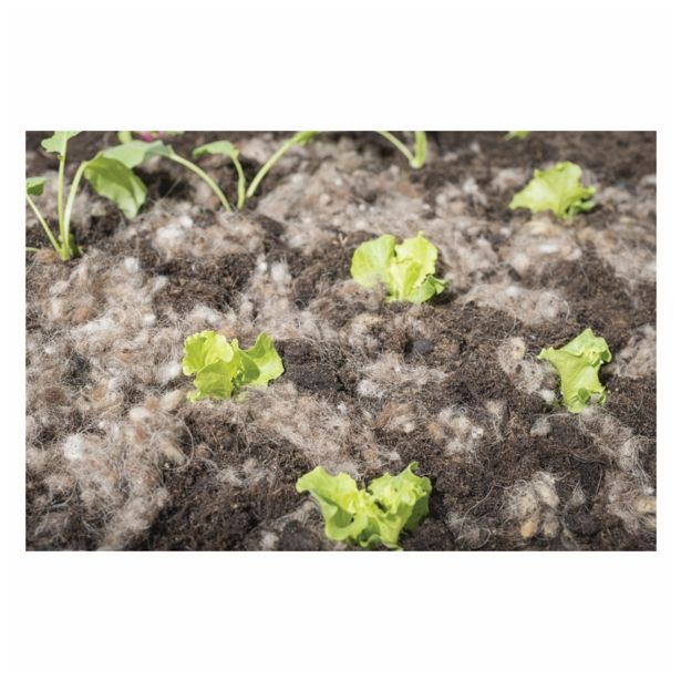 DODATEK ZA ZEMLJO WINDHAGER KOSMI IZ VOLNE, SIVI, ZA VLAŽENJE ZEMLJE, 200G