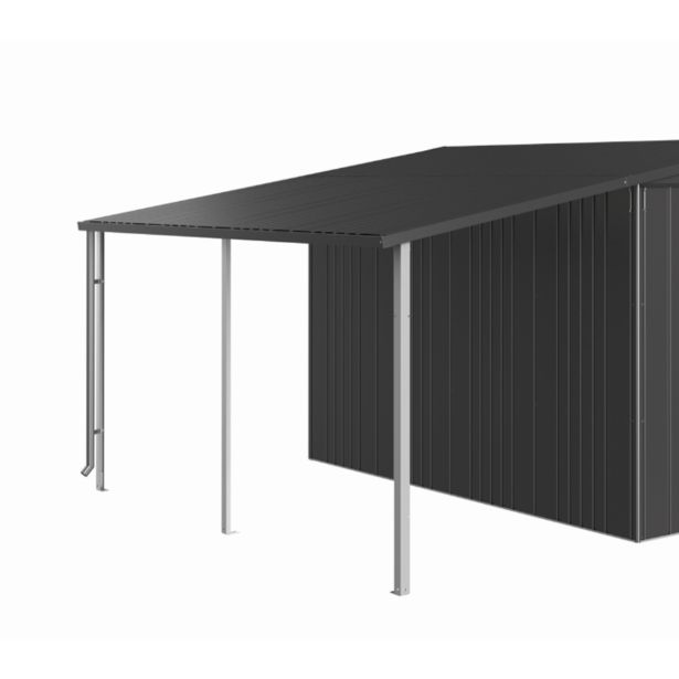 DODATKI ZA KOVINSKE HIŠKE BIOHORT STRANSKI NADSTREŠEK 150X300 CM EUROPA