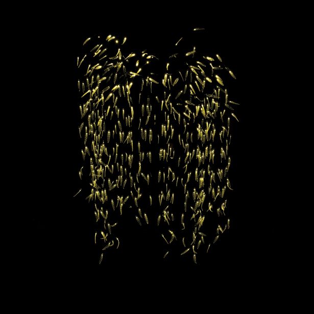 DREVO VRBA Z LISTI 250 CM