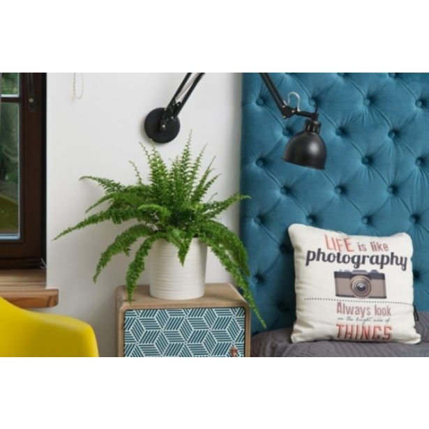 PE NOTRANJI LONEC ECO MALWA FI25 CM BEL