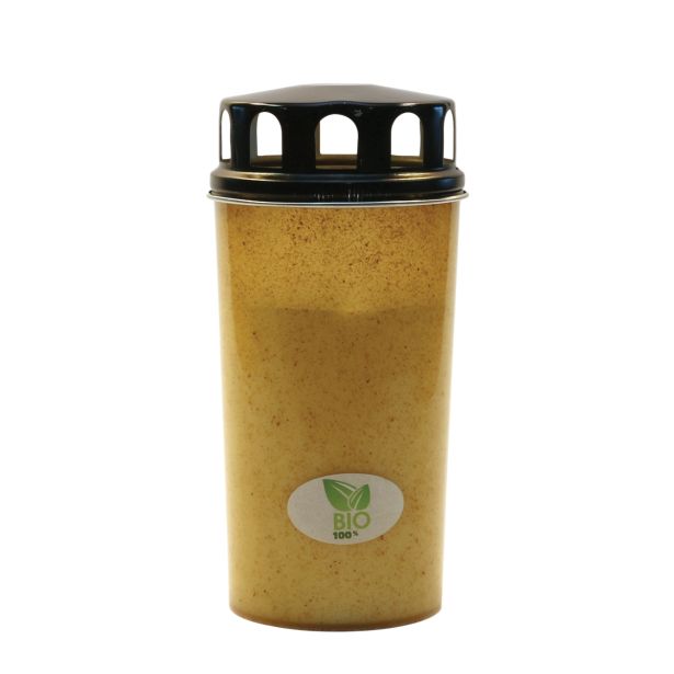 EKO BIO SVEČA TRANSPARENT