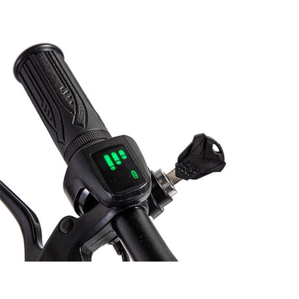 ELEKTRIČNI SKIRO MANTA MES1202H FLINSTONE II