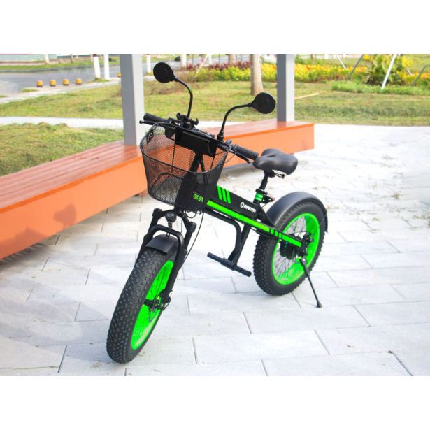 ELEKTRIČNI SKIRO MANTA MES2002N ČRNO ZELEN FLINSTONE FAT 350W