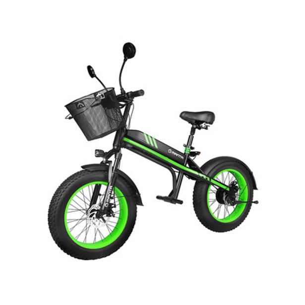 ELEKTRIČNI SKIRO MANTA MES2002N ČRNO ZELEN FLINSTONE FAT 350W