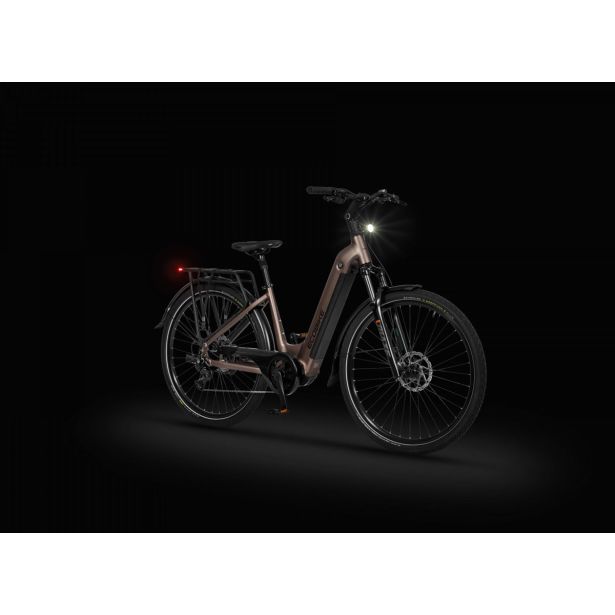 ELEKTRIČNO KOLO ECOBIKE LX300 900WH, L-19", ONYX