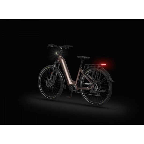 ELEKTRIČNO KOLO ECOBIKE LX300 900WH, L-19", ONYX