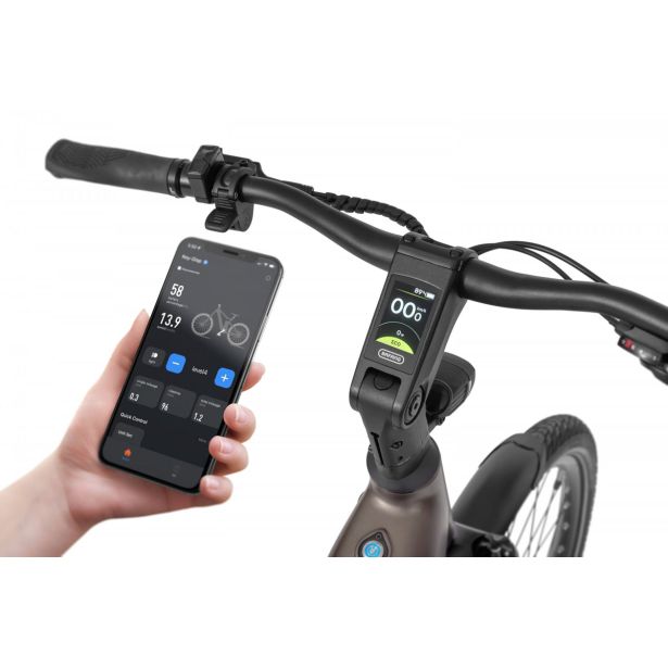 ELEKTRIČNO KOLO ECOBIKE LX300 900WH, L-19", ONYX