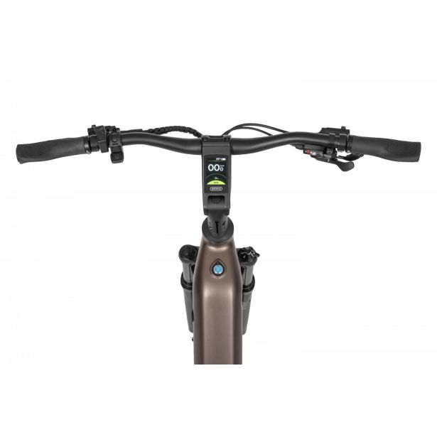 ELEKTRIČNO KOLO ECOBIKE LX300 900WH, L-19", ONYX