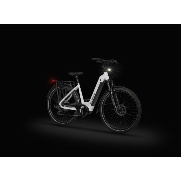 ELEKTRIČNO KOLO ECOBIKE LX300 900WH, M-17", WHITE