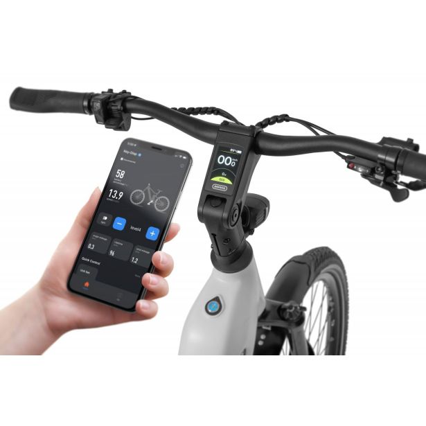 ELEKTRIČNO KOLO ECOBIKE LX300 900WH, M-17", WHITE