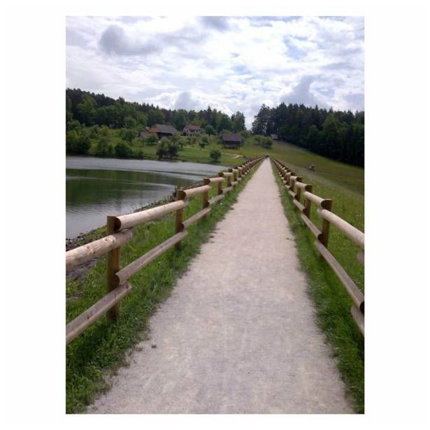 ELEMENT VRTNIH OGRAJ STEBRIČEK FI 8X150 CM SMREKA