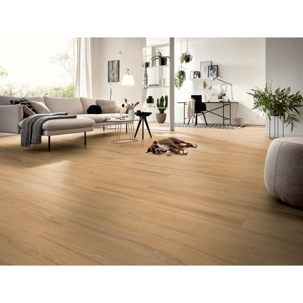 LAMINAT, 8MM, 32. RAZRED KRONOTEX EXQUISIT HRAST FARM D 80062