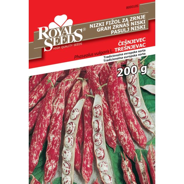 FIŽOL NIZKI ČEŠNJEVEC