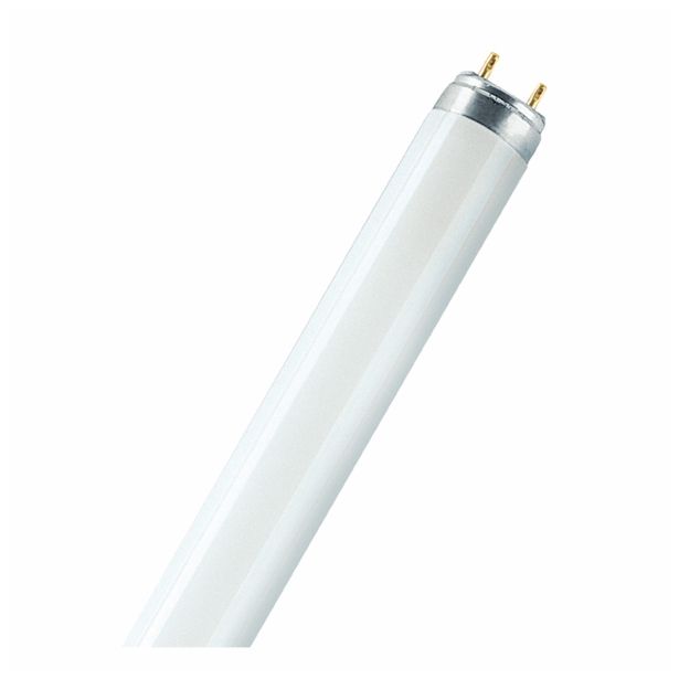 FLUO SIJALKA FI 26 OSRAM L 30W/840 SB 89.5 CM BL/1
