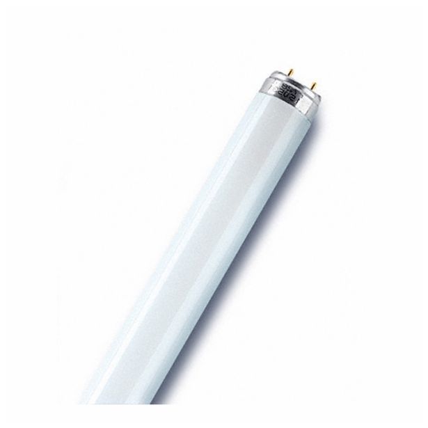 FLUO SIJALKA FI 26 OSRAM L 58W/865 G13