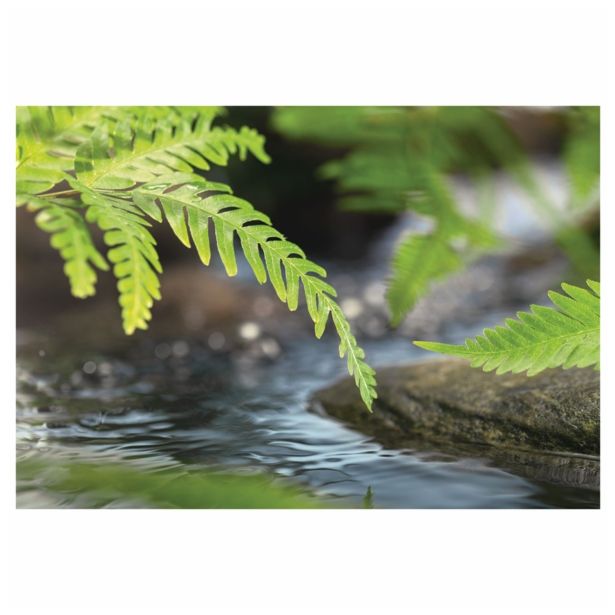 FOTOTAPETA 1-DELNA ALONG THE RIVER184X127 KOMAR