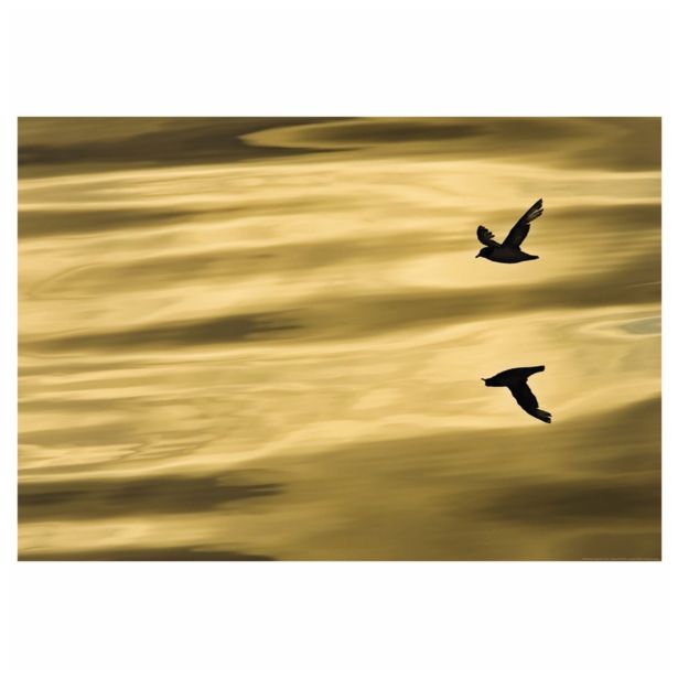 FOTOTAPETA 1-DELNA REFLECTION NG 184X127 CM KOMAR