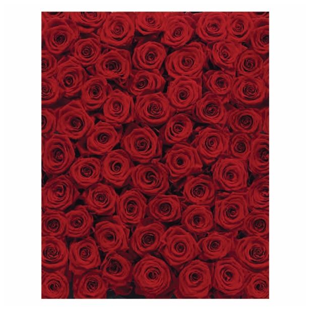 FOTOTAPETA 4-DELNA  ROSES 194X270 CM KOMAR
