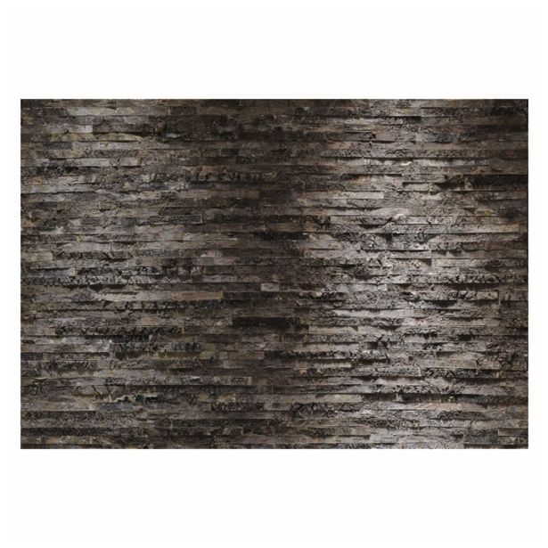 FOTOTAPETA 8-DELNA BIRKENRINDE 368X254 CM KOMAR