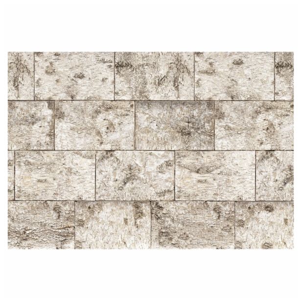 FOTOTAPETA 8-DELNA BJÖRK 368 X 254 CM KOMAR