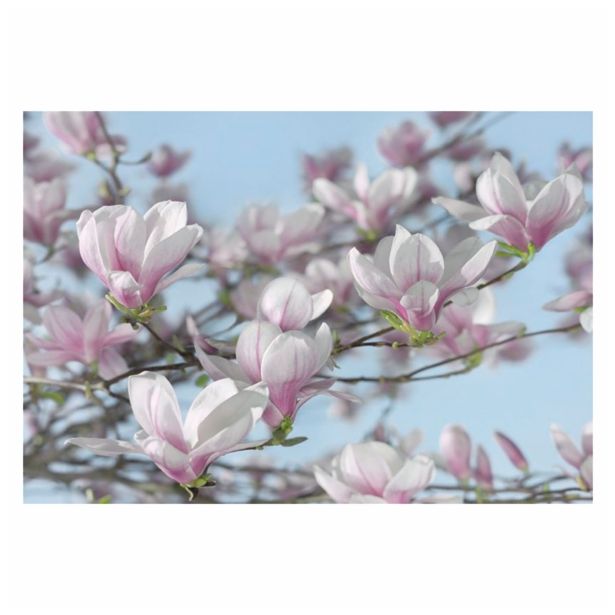 FOTOTAPETA 8-DELNA  MAGNOLIA 368X254 CM KOMAR
