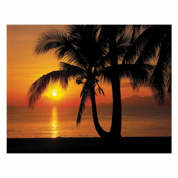 FOTOTAPETA 8-DELNA PALMY  BEACH SUNRISE 368X254 CM KOMAR