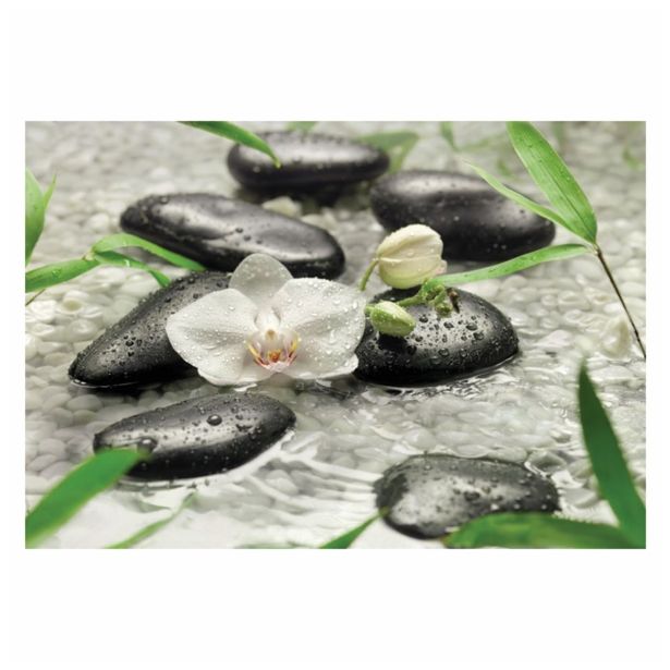 FOTOTAPETA 8-DELNA PURE 368 X 254 CM KOMAR